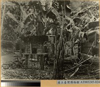藏品(屋外竹構高架小屋)的圖片
